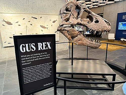 dinosaur